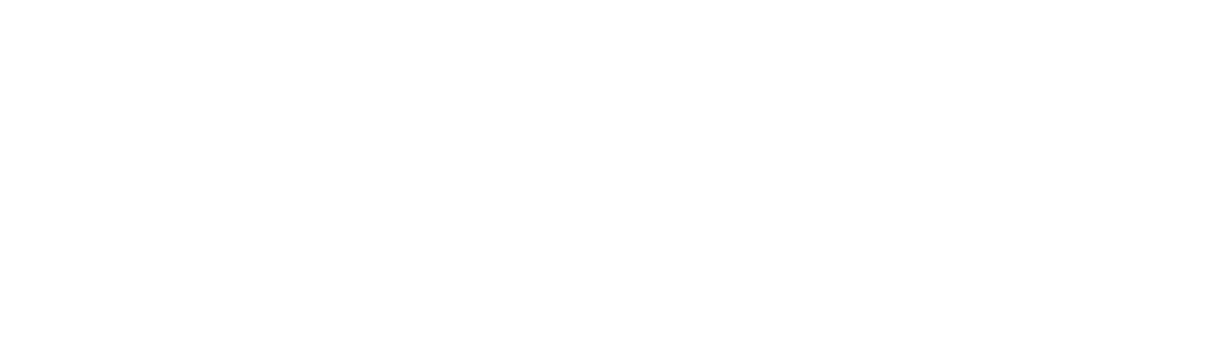 Swan Car Brokers